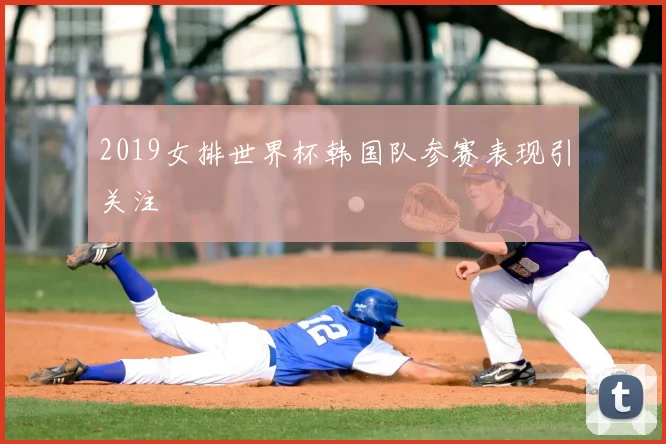 2019女排世界杯韩国队参赛表现引关注
