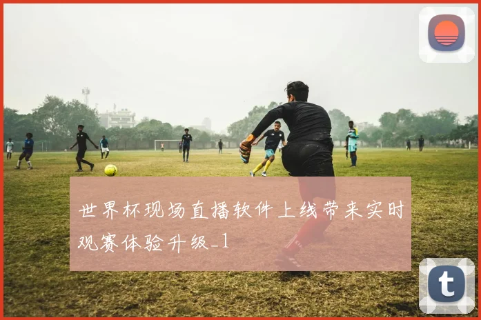 世界杯现场直播软件上线带来实时观赛体验升级_1